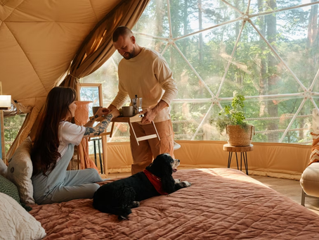 pet-friendly features