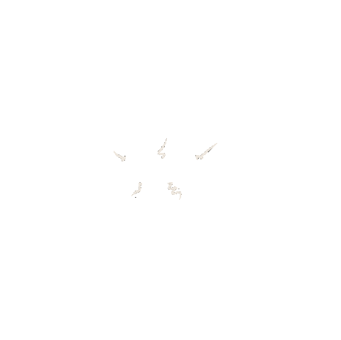 giphy.gif