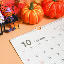 意外と知らない⁉️ 季節ごとの毛の違い✨