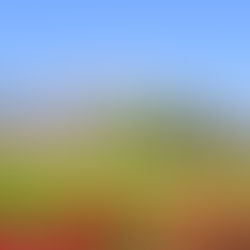 季節によって、毛の生えるスピードが変わる!?