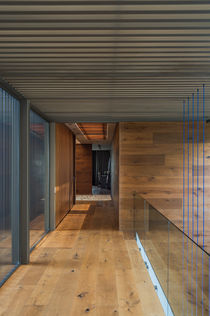modern house, mexican architecture, gomez crespo arquitectos, gloria cortina