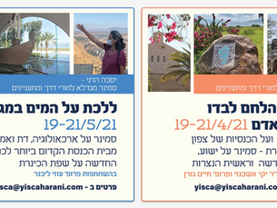 נוף מרהיב של הכנרת עם טעם של דג נסיכת הנילוס