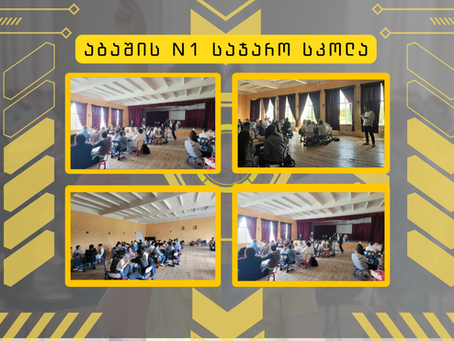 აბაშის N1 სკოლის "მინი აინშტაინები"