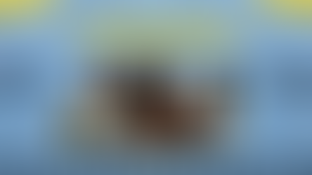 "მზის შვილები" ახალსოფლის სკოლიდან