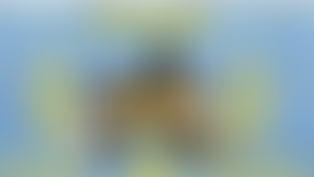 "იფიქრე და მოიგე" წყემის სკოლაში