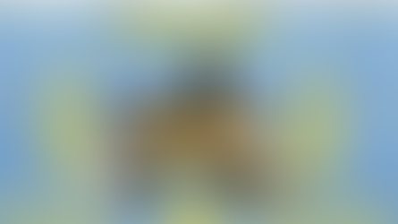 "იფიქრე და მოიგე" წყემის სკოლაში