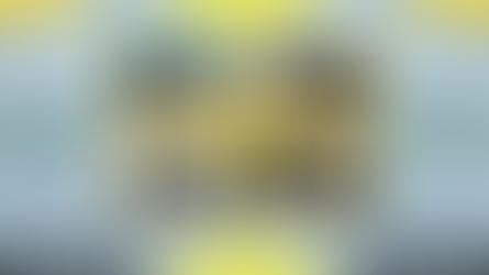 ვანთის სკოლის "ტვინიკოსები", "ფესვები" და ნაშველი "უსაშველოები" :)