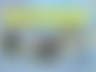 შუა ამაღლების საჯარო სკოლის შიდა სასკოლო ტურში შვიდმა გუნდმა იასპარეზა