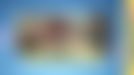 კონდიდის "ალბატროსი"