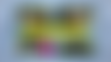 "ოლიმპოსები" ბათუმის 25-ე სკოლიდან