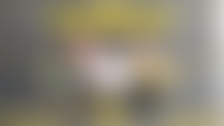 შომახევის ლომები