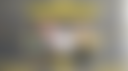 შომახევის ლომები