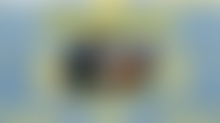 "ელიტები" 219-ე სკოლიდან