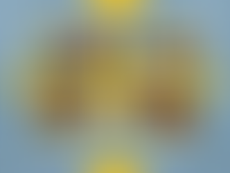 "არგონავტები" ყუმურის სკოლიდან