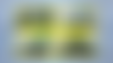 ტრიუმვირატის უცნობი მებრძოლები