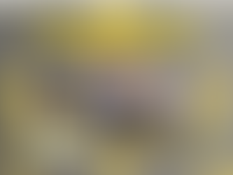 სკოლა ანაბასისის "ანაბასისი"!