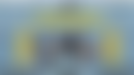 პელაგონის სკოლის "ნებიერები"