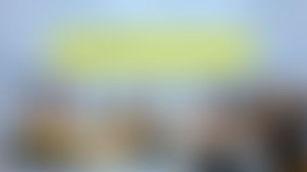 ციხისძირის ბრძოლა (ტვინებით)