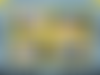 ქუთაისის N40 სკოლის "სუპერ გუნდები"