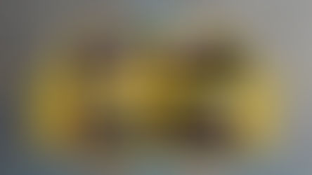 "გრიფინდორის" ფილიალი ლაჯანაში :)