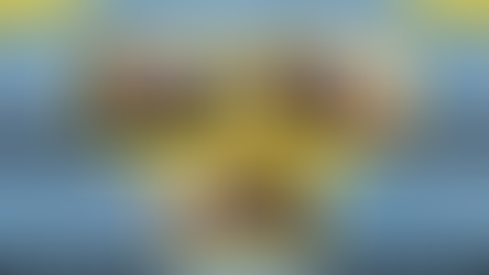 ცოცხნარის სკოლის "ცეცხლოვანი ტვინები"