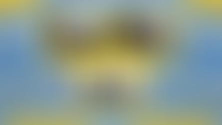 "მტრედები" და "ვარსკვლავები" ყარაჯალის სკოლიდან