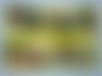 ტვინების ბრძოლის ცეცხლი 'ალის'უბანში