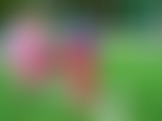 Life Begins After School: Join Your Squad!