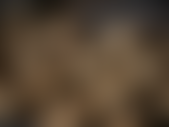 Baking with Linh - How to make the best Chocolate Chip Cookies