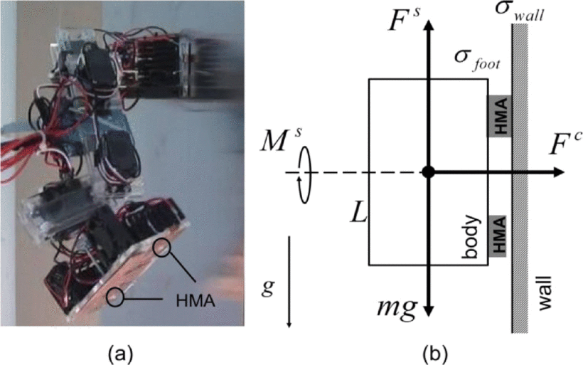 6224955-fig-2-source-large.gif