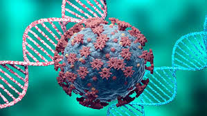 Göğüs kanserinde mutasyon görülen genler: