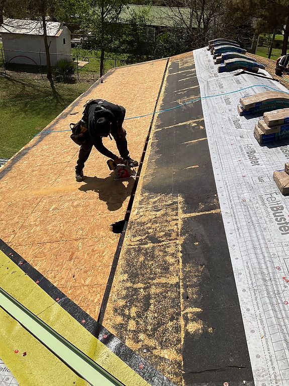 ROOF_edited.jpg