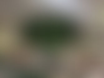 [VILLA NUEVA] ESTE MIÉRCOLES COMIENZA EL BLACKFRIDAY DE CHANGO MAS