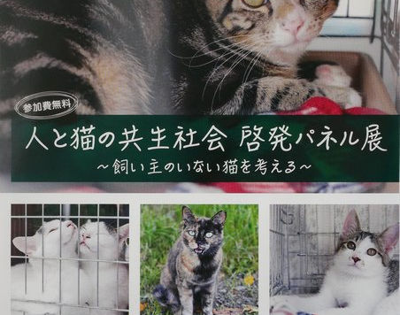 「さやま猫の会パネル展」にみる先進のあるべき姿