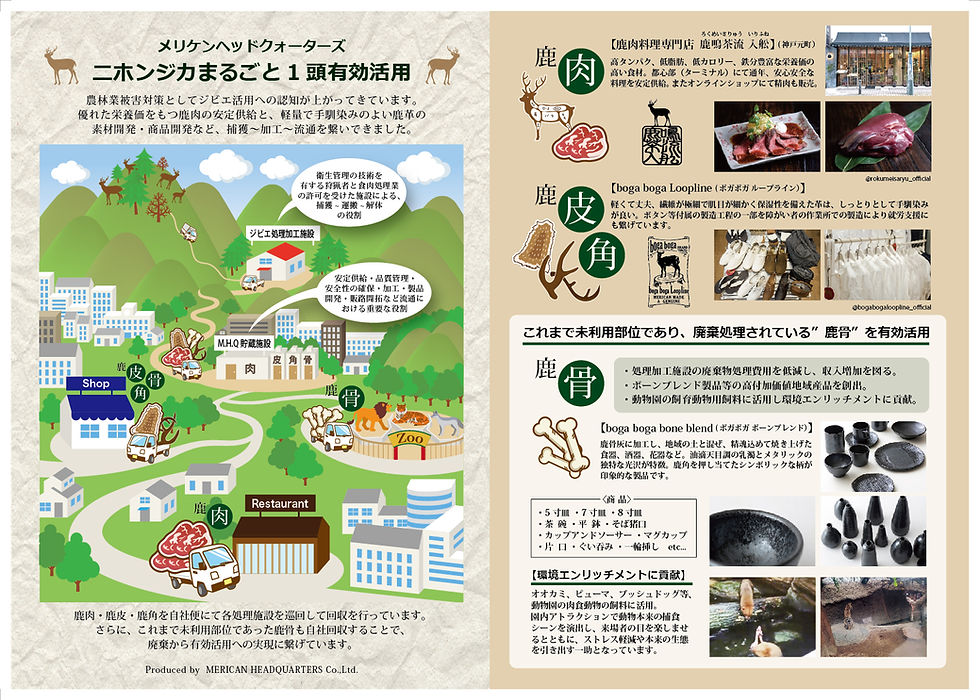 メリケンヘッドクォーターズ　入舩郁也