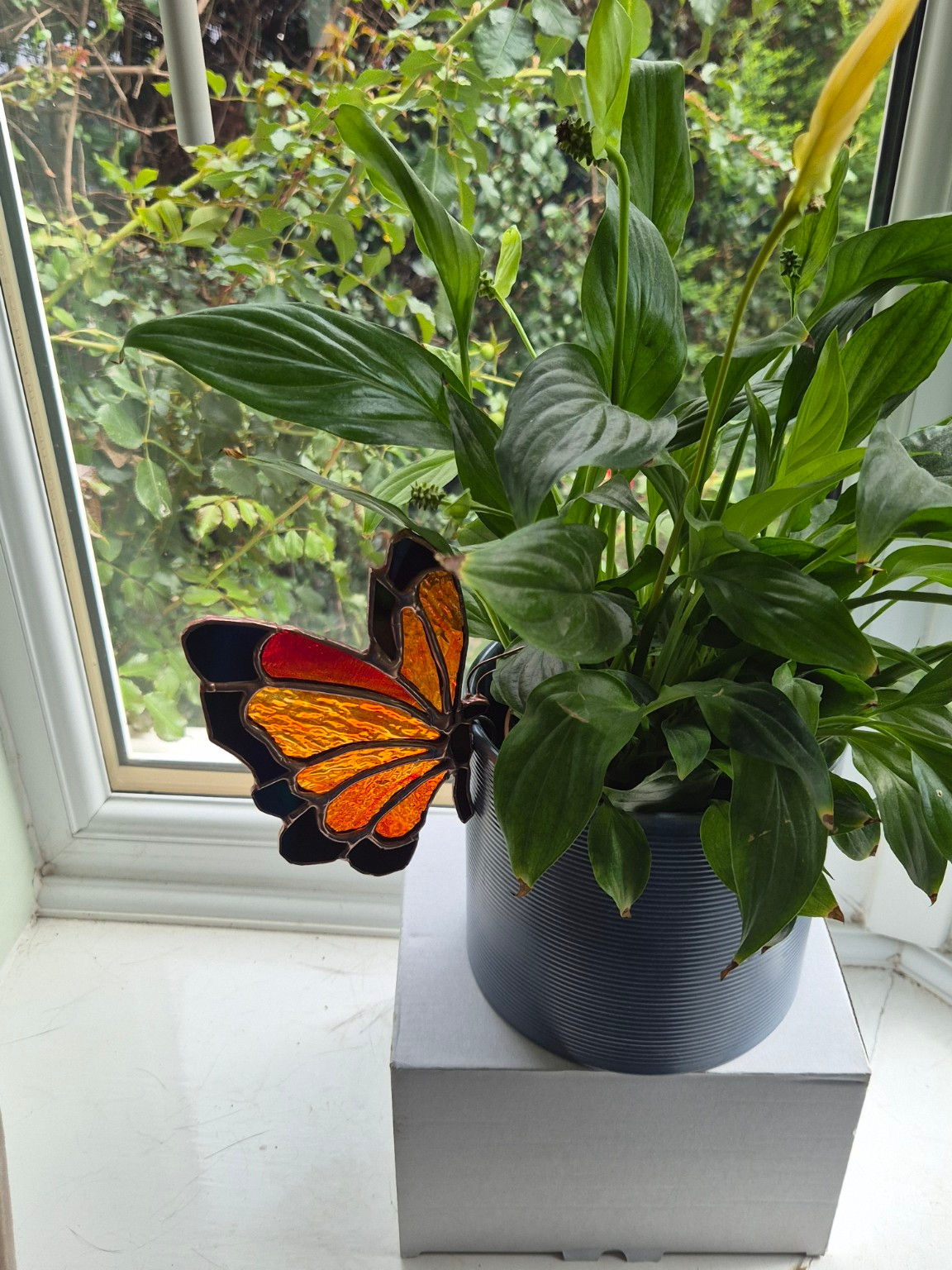 Handmade stained glass butterfly plant pot hanger displayed on an indoor houseplant