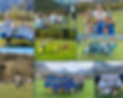 Montage 3 (4).png