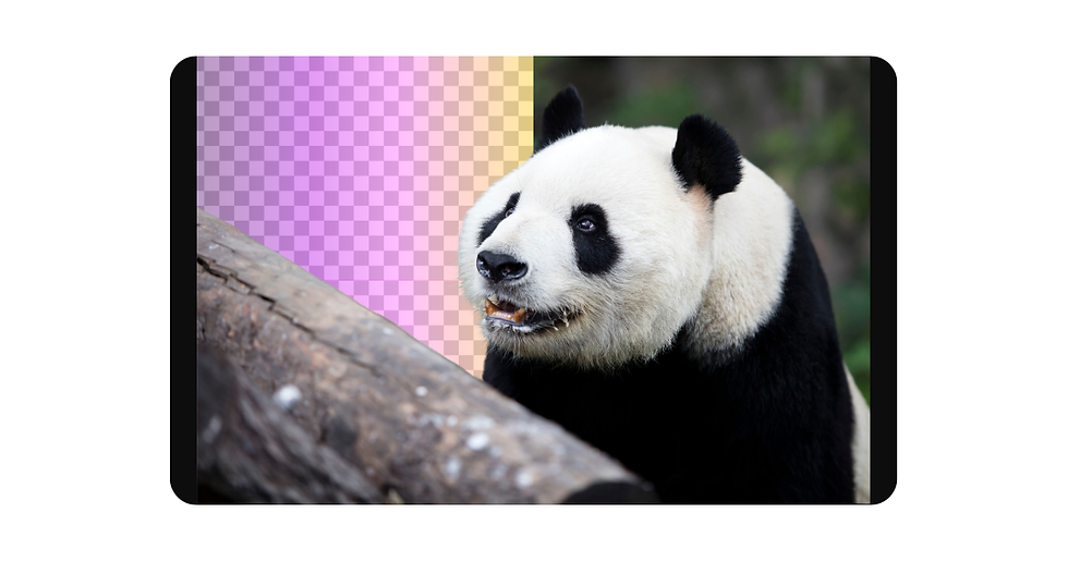 A panda near a log with a colorful gradient and checkered background, showing a playful expression.