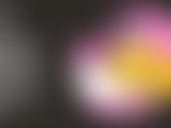 How to Choose the Best Pricing Plan For Buying Stock Content: 123RF PLUS, Credits, and AI Power!