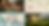 Four images: a vibrant flower garden, a floral pattern, pastel flowers on a teal background, and a serene landscape with a tree at sunset.
