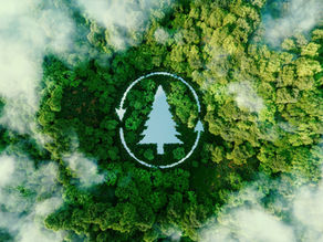 11 Habits For A Greener 2023