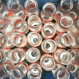 Empty Bottle Collection