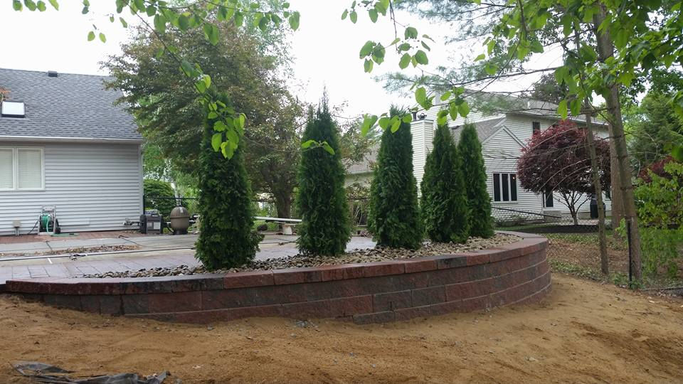 13245308_1092970697411455_8298924315848705259_n