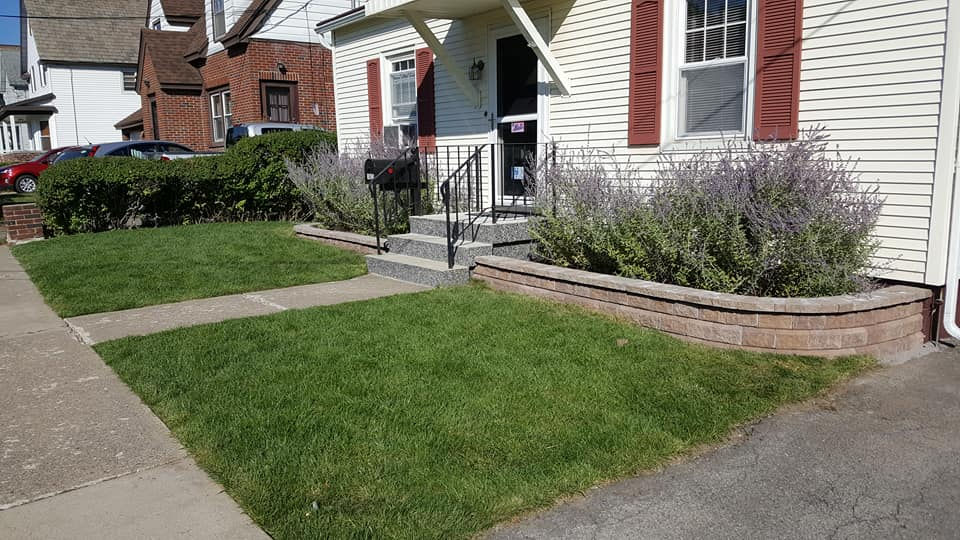 21765019_1671057279602791_4525818068337915692_n