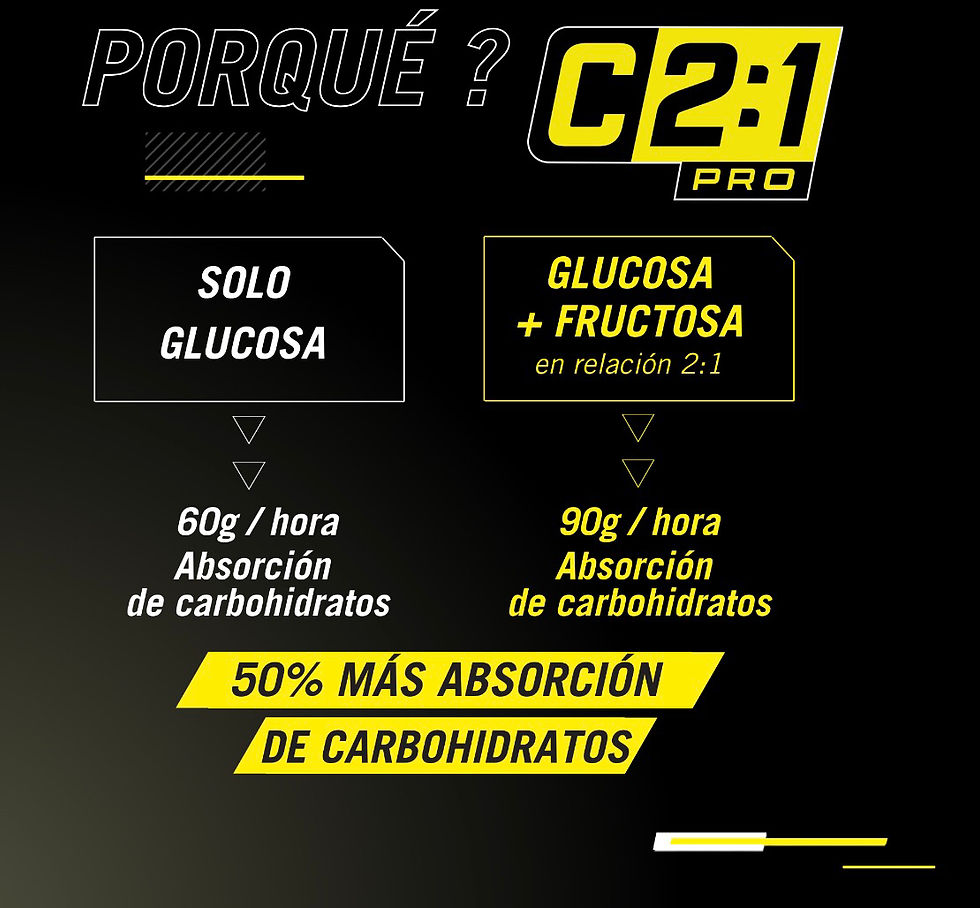 Miniatura: ENERVIT CARBO GEL C2:1