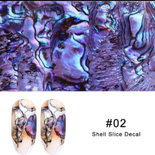 Thumbnail: Abalone sticker