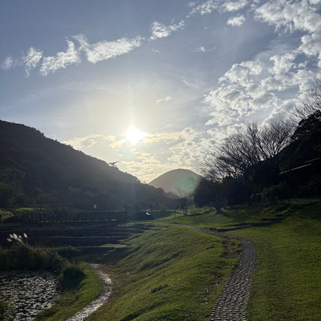 Early spring scenery in Taiwan with a walking path, green hills, and winter trees under soft sunlight.