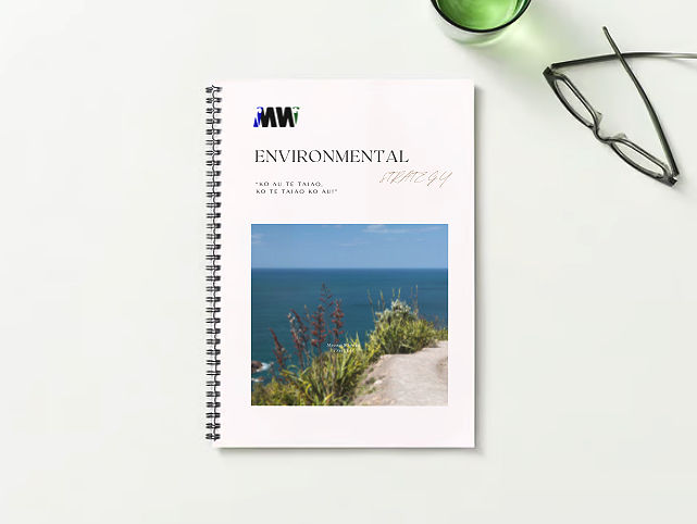 Initial Consultation: Environmental Plan Development