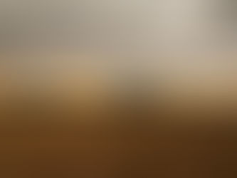 Context of the Organization & EHS