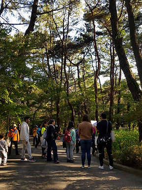 Healing and History – A Forest Tour Program in Geumgang Park